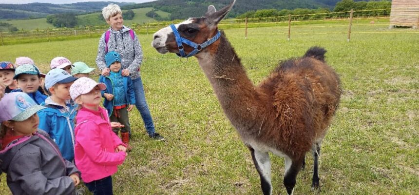 Výlet do Horního dvoru u Luhačovic