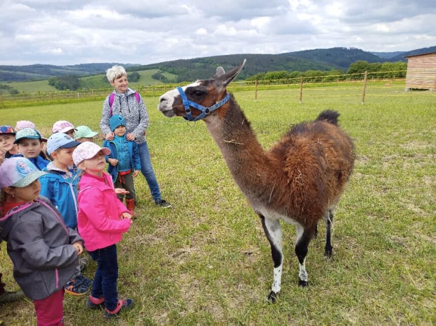 Výlet do Horního dvoru u Luhačovic