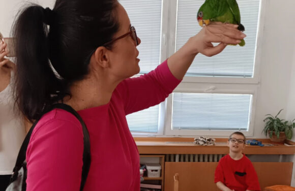 Zimní zprávičky z naší školičky